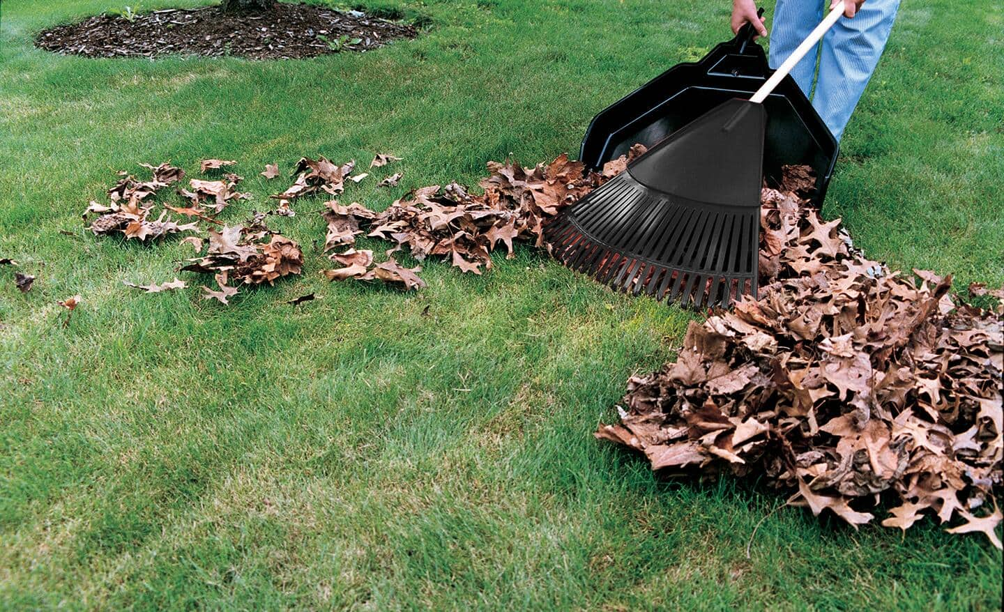 Backyard Clean Up am Deerfield Beach, Florida (2)