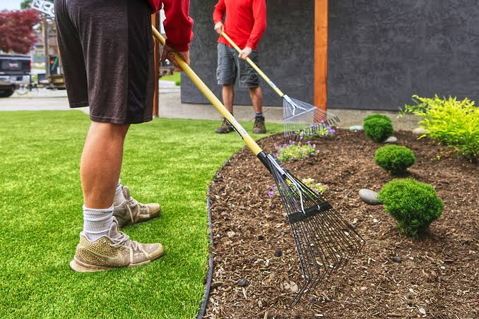 Backyard Clean Up at Deerfield Beach Florida