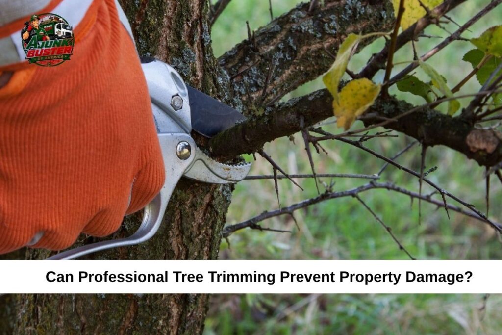 Can Professional Tree Trimming Prevent Property Damage