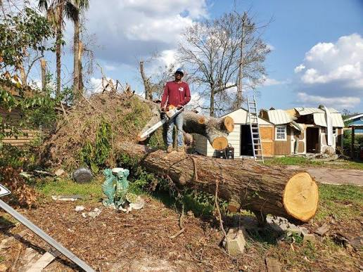 Tree Removal Service at West Palm Beach, FL