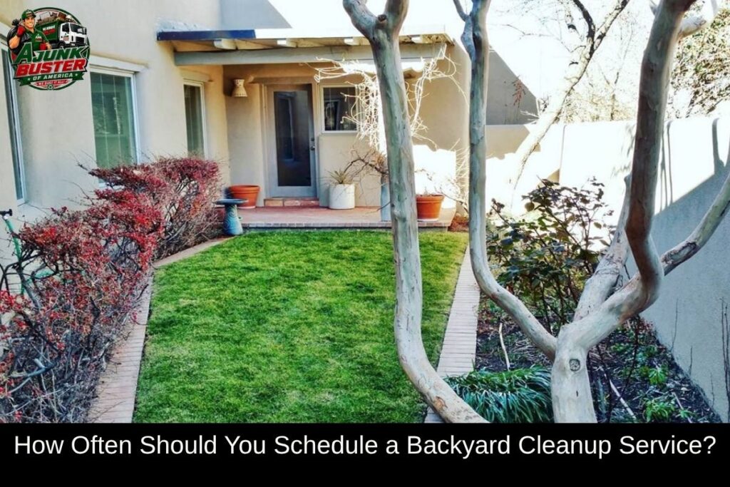 How Often Should You Schedule a Backyard Cleanup Service